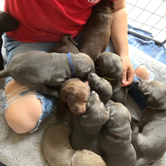 Meet your Posher, Terri - Picture 10 of 11